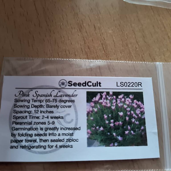 Pink Spanish Lavender Seeds, Lavandula Stoechas Bandera LS0220 - Etsy