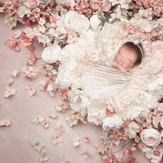 C’est une fille Toile de fond Fille Baby Shower Vinyle Photo Fond 84x60inch  Rose Or Fleur Papillon Bois Mur Photographie Arrière-plan