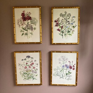 花柄 ピンク ボタニカル フラワーアート 花図鑑 花絵　花柄 花柄 ピンク ボタニカル フラワーアート 花図鑑 花絵 花柄