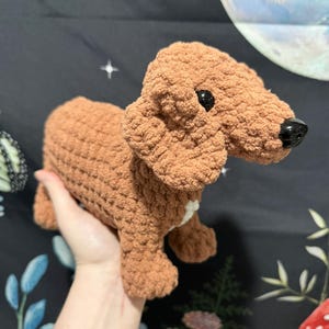 Anna added a photo of their purchase