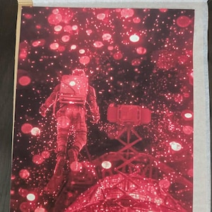 Aurora added a photo of their purchase