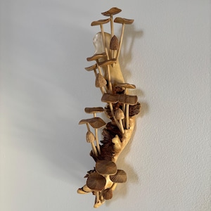 Patrick added a photo of their purchase