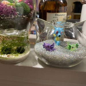 Joanne added a photo of their purchase