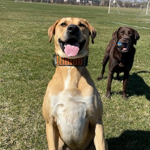 Hannah ha añadido una foto de su compra