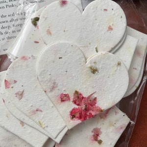 Karen さんが購入した商品の写真を追加しました