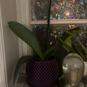 Natalie added a photo of their purchase