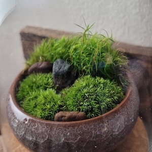 Shanda hat ein Foto des gekauften Artikels hinzugefügt