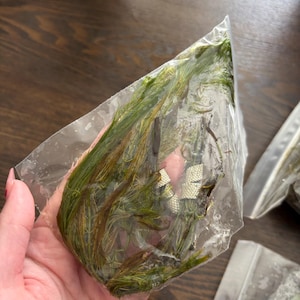 Gia added a photo of their purchase