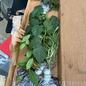 Stacy added a photo of their purchase