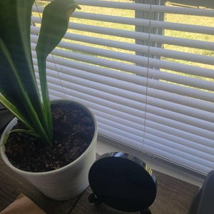 Linda added a photo of their purchase