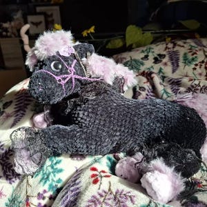 Kando added a photo of their purchase