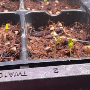 Tara added a photo of their purchase