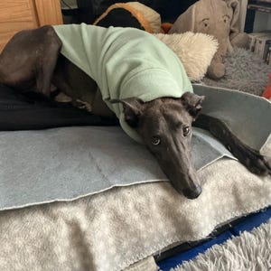 Anne added a photo of their purchase