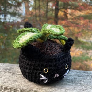 Kim added a photo of their purchase