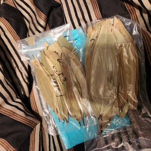 Ny'Kera added a photo of their purchase