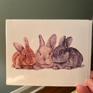 lynneb88 a ajouté une photo de son achat