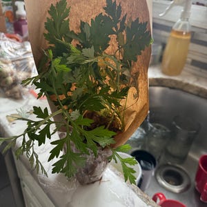 MarieJoe added a photo of their purchase