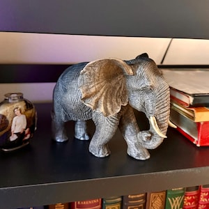 Yoram added a photo of their purchase