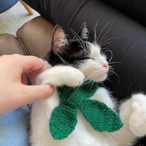 Fiona added a photo of their purchase
