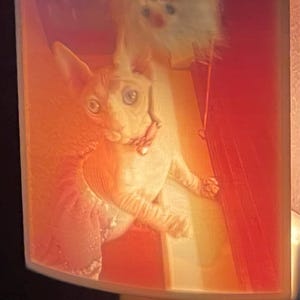 Etsy-Käufer:in hat ein Foto des gekauften Artikels hinzugefügt