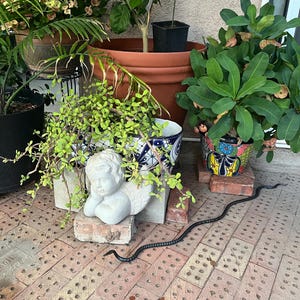 Martha added a photo of their purchase