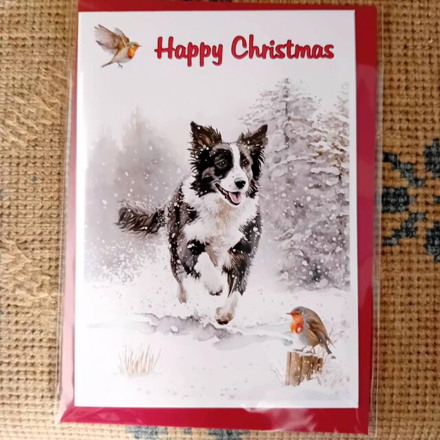 Border Collie Christmas Card Christmas Gift For Dog Lovers