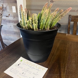 Darly added a photo of their purchase