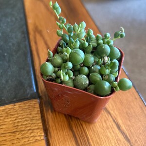 margaret added a photo of their purchase