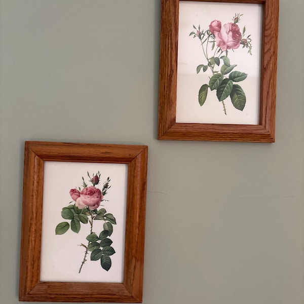 Vintage Pink Roses Wall Art Prints - Set of 6 - Botanical Prints ...