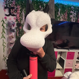 Ali ha aggiunto una foto del proprio acquisto