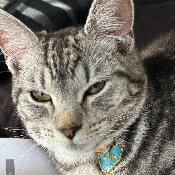 Small Crystal Heart Shaped Custom Pet ID Name Tag For Cats & Dogs – Free Engraving & Post