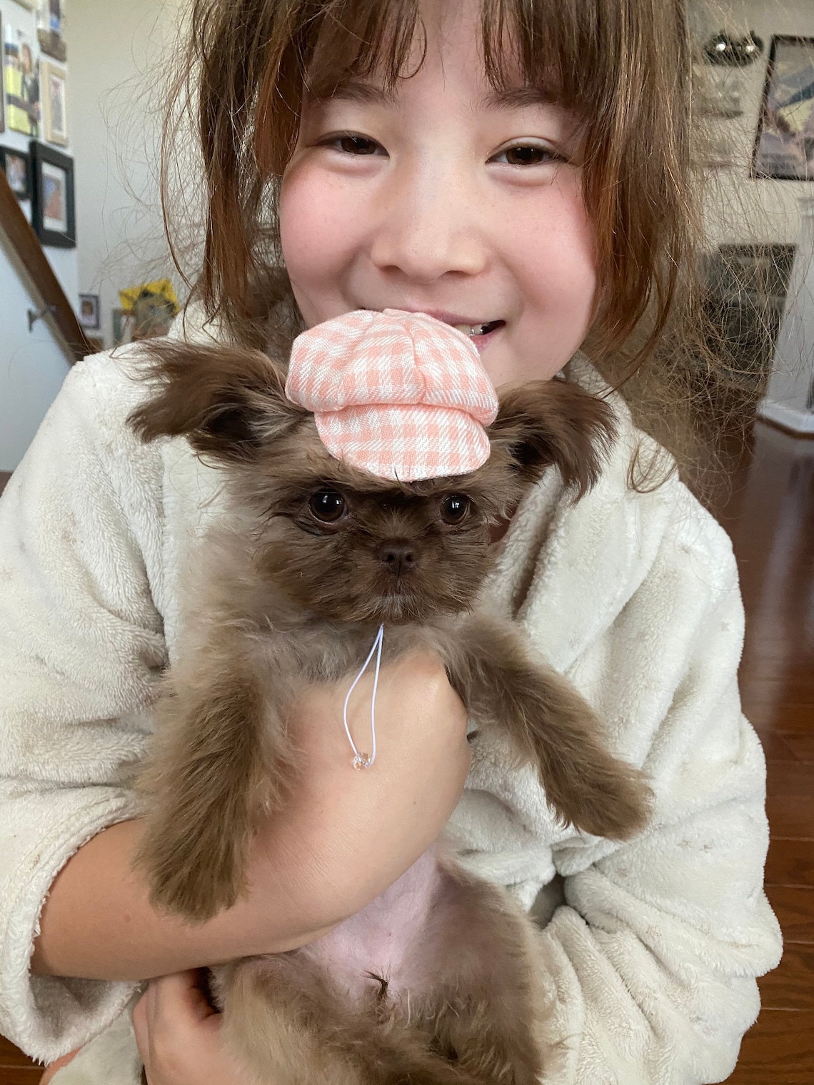 Customer photo of a pet with the Newspaper Boy Hat  for small pet Hedgehog Vogue