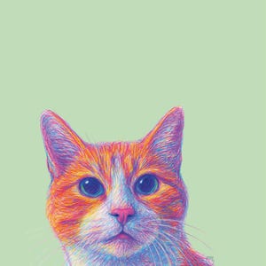 Cuenta inactiva ha añadido una foto de su compra