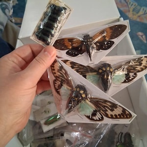 Brittany added a photo of their purchase