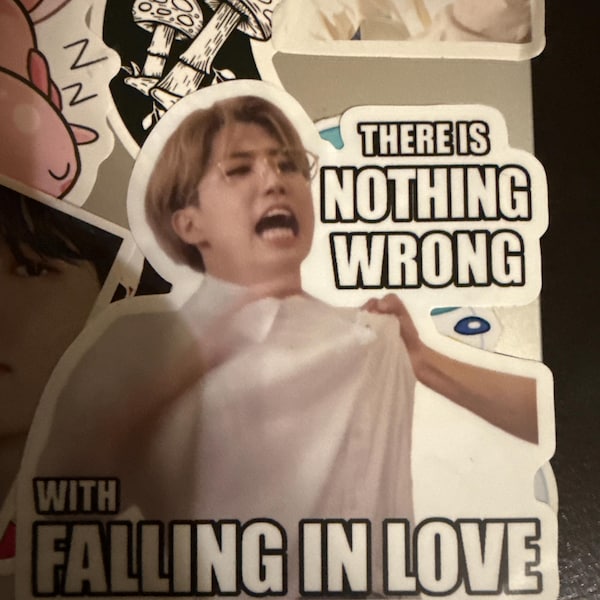 Stray Kids Bang Chan Meme Stickers - Etsy