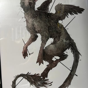 Amanda さんが購入した商品の写真を追加しました
