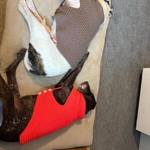 Sadie added a photo of their purchase