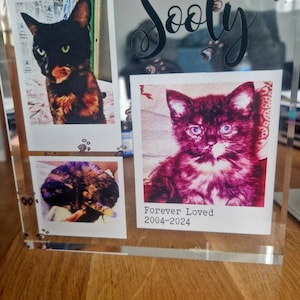 Michelle a ajouté une photo de son achat