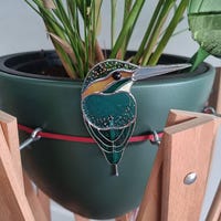 Robbin image