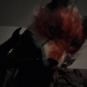 Icarus heeft een foto van de aankoop toegevoegd