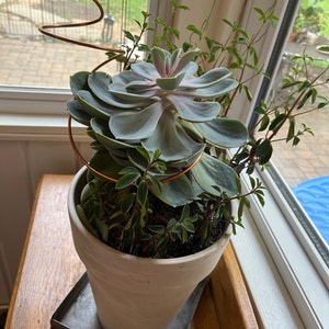 Jill added a photo of their purchase