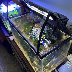 Michael added a photo of their purchase