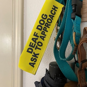 Shannon heeft een foto van de aankoop toegevoegd