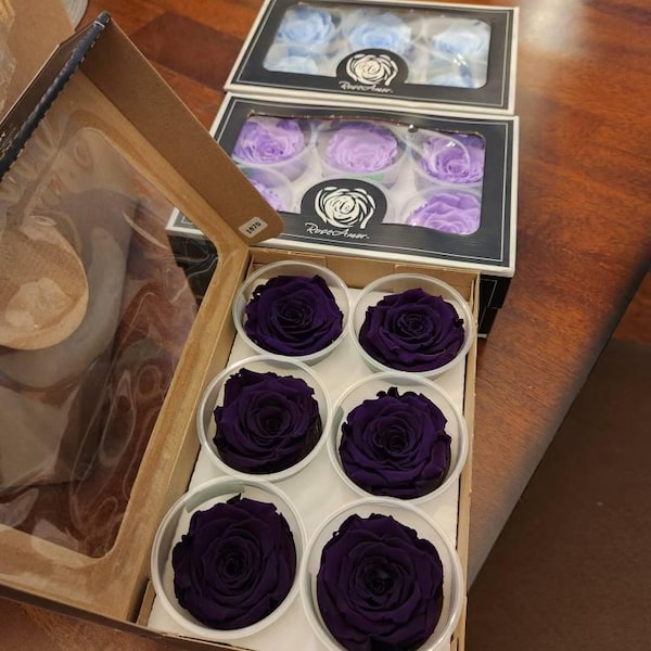Preserved Rose Six Packs in Size L, Make Your Own Centerpieces and ...