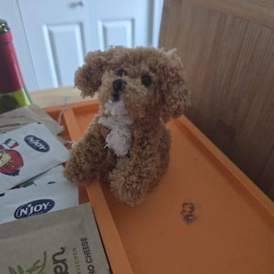 Sadie heeft een foto van de aankoop toegevoegd