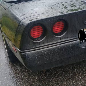 Professor added a photo of their purchase
