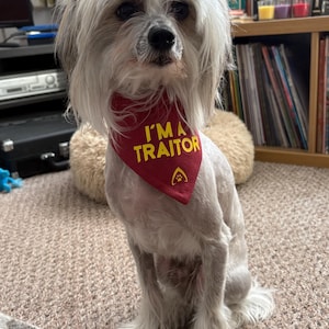 Scampy added a photo of their purchase