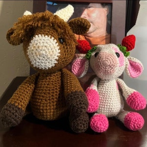 Amy added a photo of their purchase