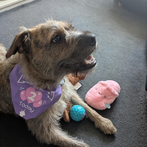 Jane added a photo of their purchase