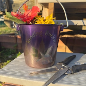Taylor added a photo of their purchase